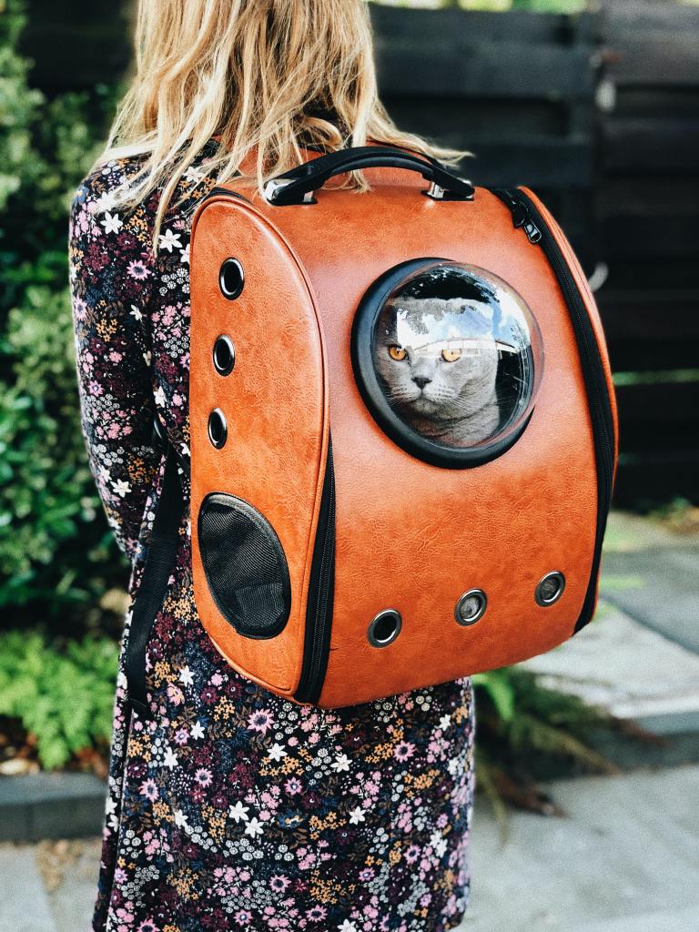 mulher viajando com gato na mochila 